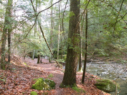 Koomer Ridge Trail